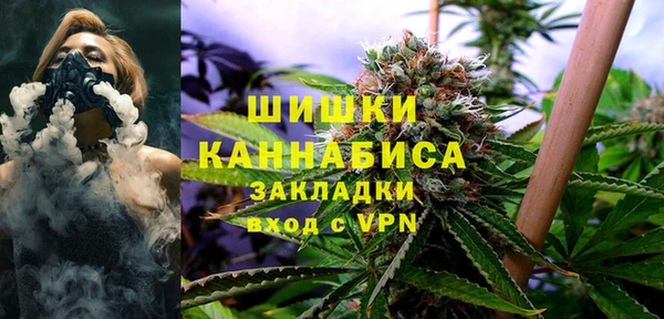 хмурый Дмитриев