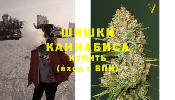 хмурый Дмитриев