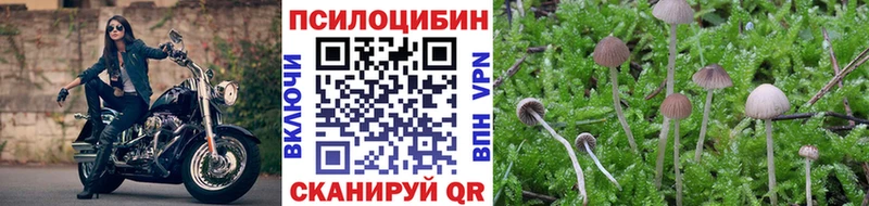 Купить  Кадников  Галлюциногенные грибы мицелий 